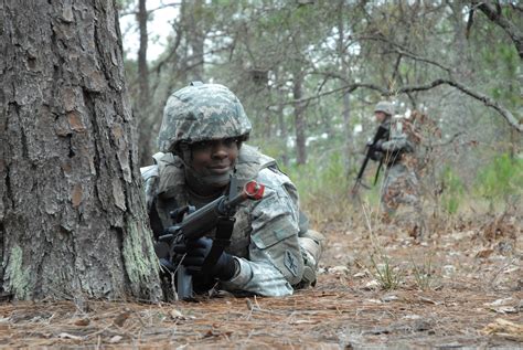 Ait Platoon Sergeant Training Shifts Focus Article The United