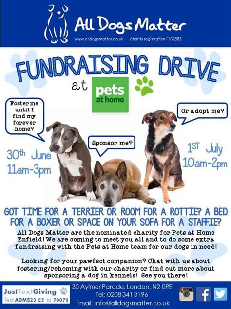 All Dogs Matter Fundraising Drive Pets At Home Enfield The Dogvine