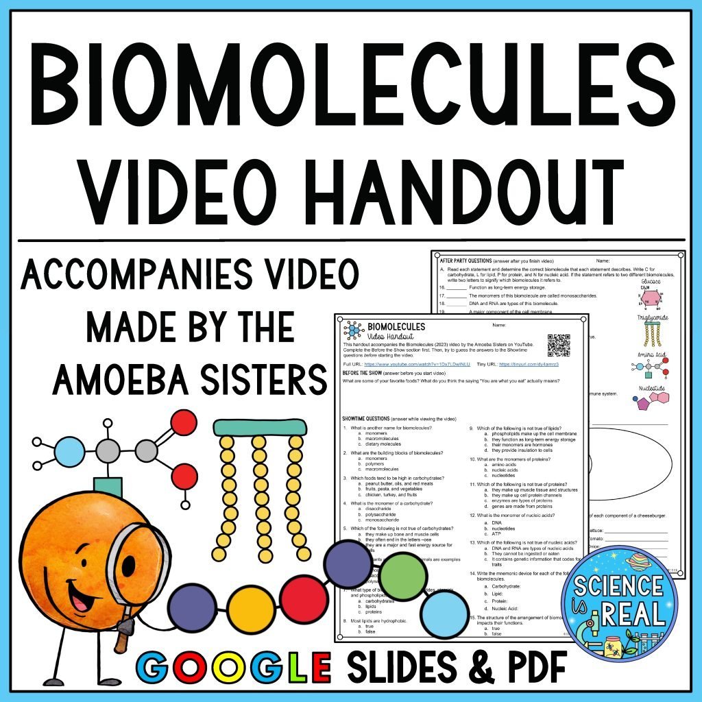 Amoeba Sisters Biomolecules Charlotte Denis Library Formative