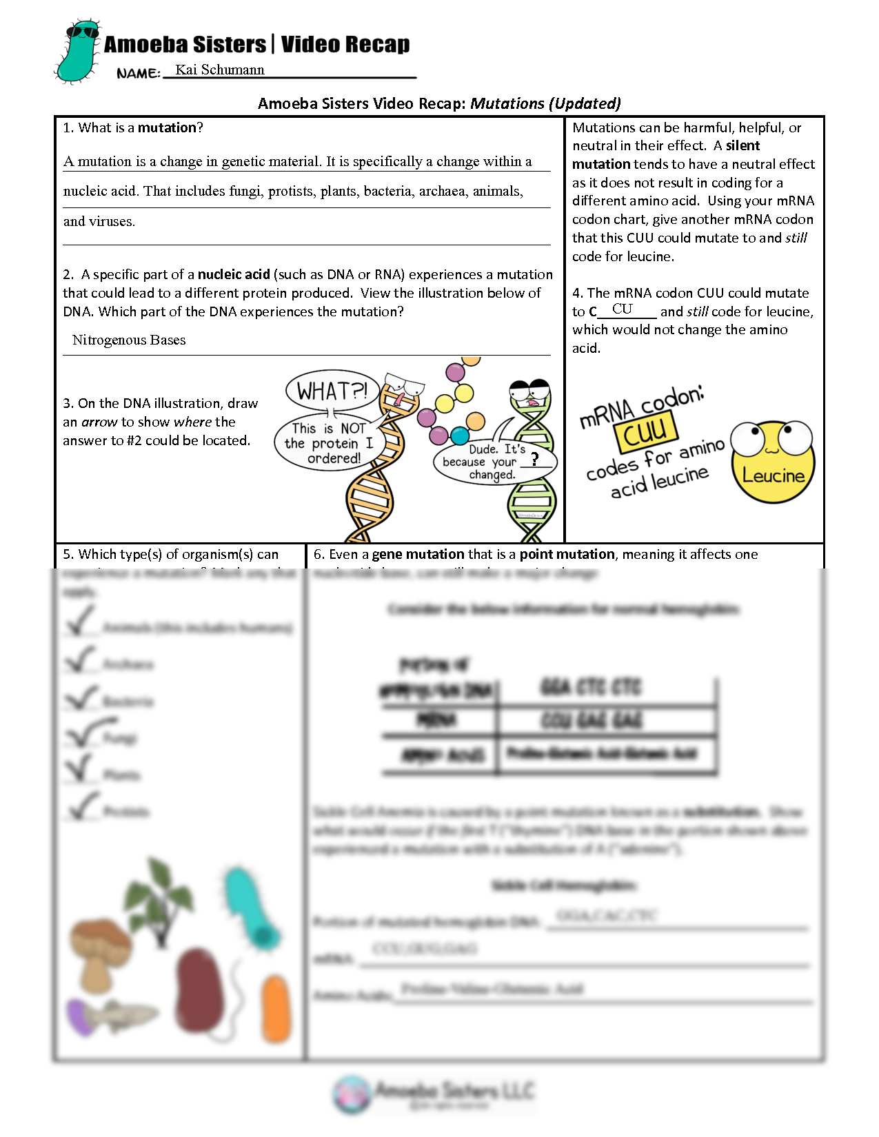 Amoeba Sisters Mutations Worksheet: Fun Learning Ahead