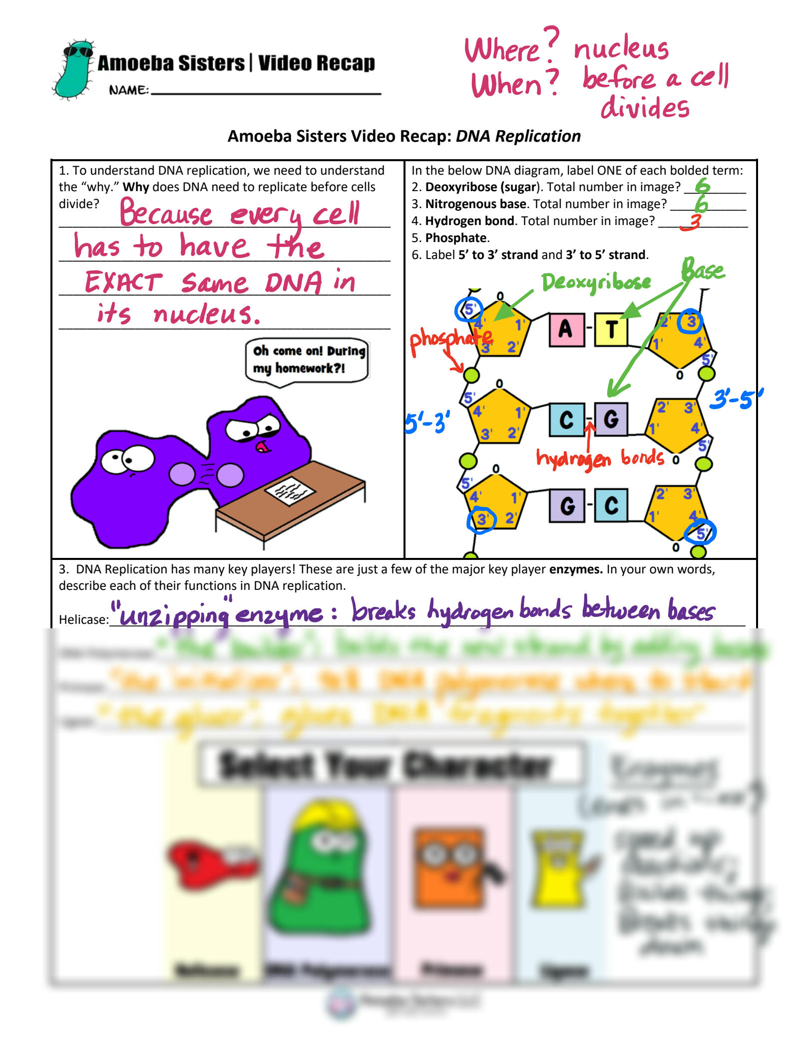 Amoeba Sisters Nature Of Science Answer Key Pdf