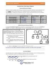 Amoeba Sisters Pedigree Worksheet Printable And Enjoyable Learning