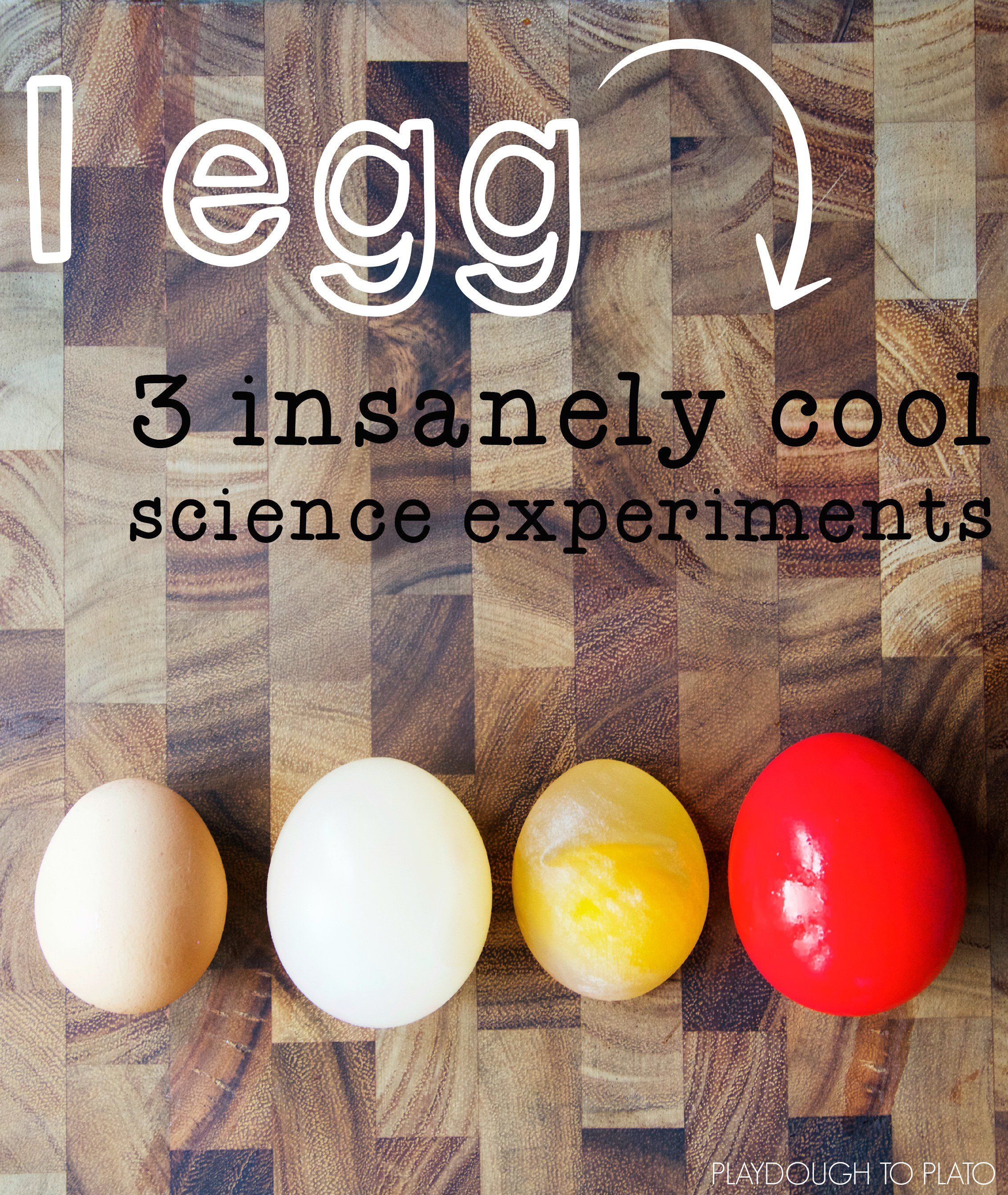 An Egg Science Experiment Is Shown In This Image