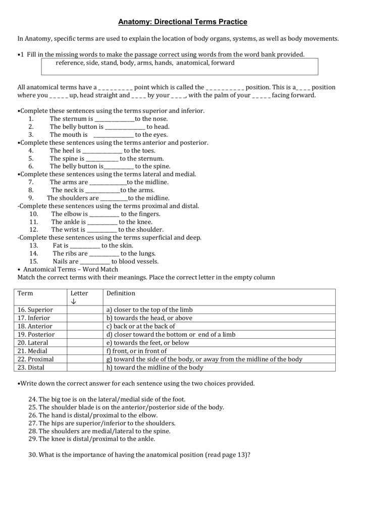 Anatomical Terminology Worksheet Answers 1 Worksheet Nawezivp