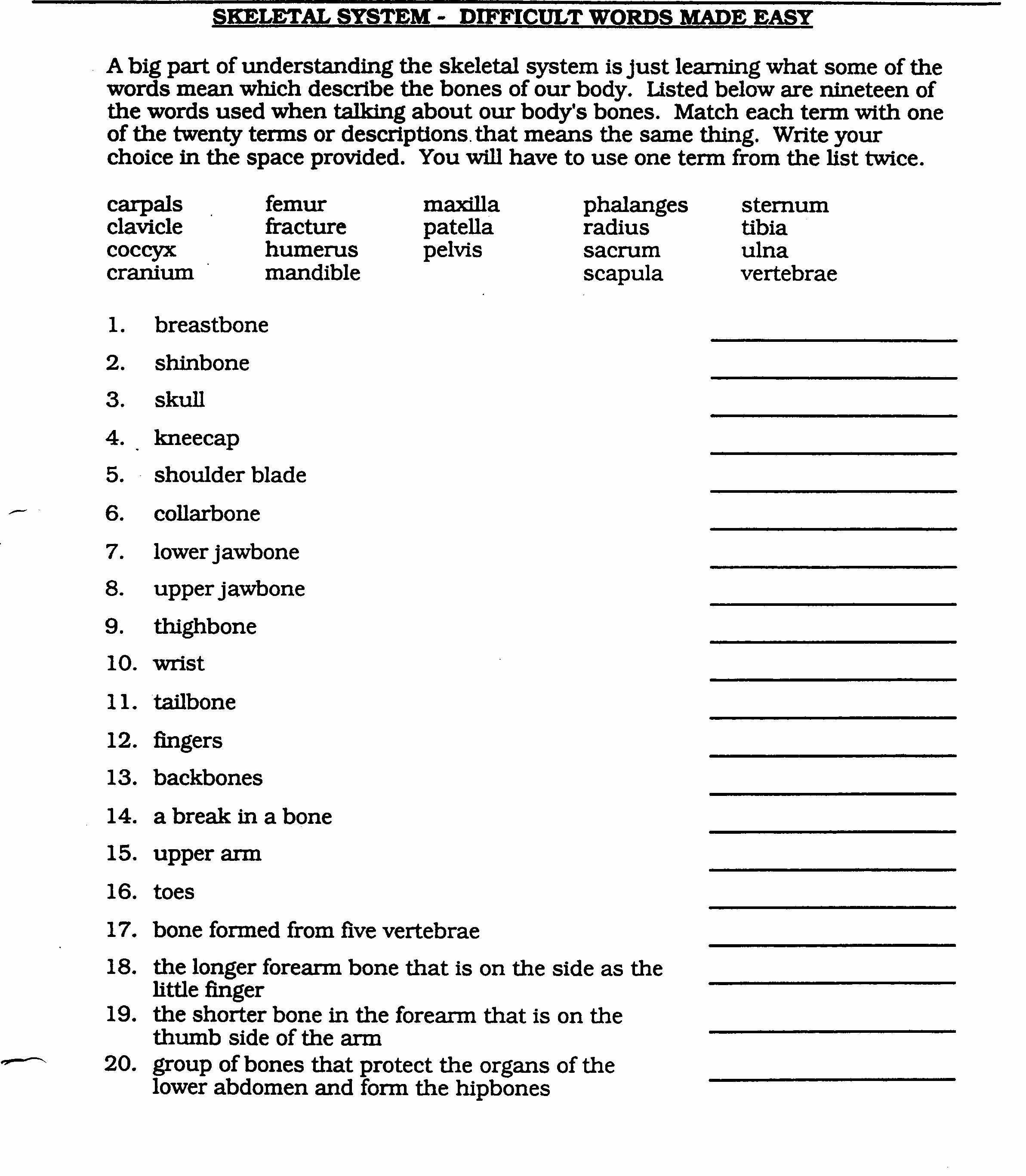 Anatomical Terminology Worksheet Deprecated Api Usage The Svg Back End Is No Longer