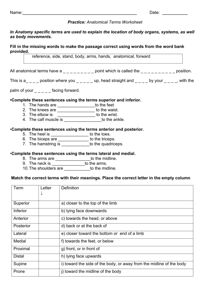 5 Key Terms Every Anatomy Student Must Know