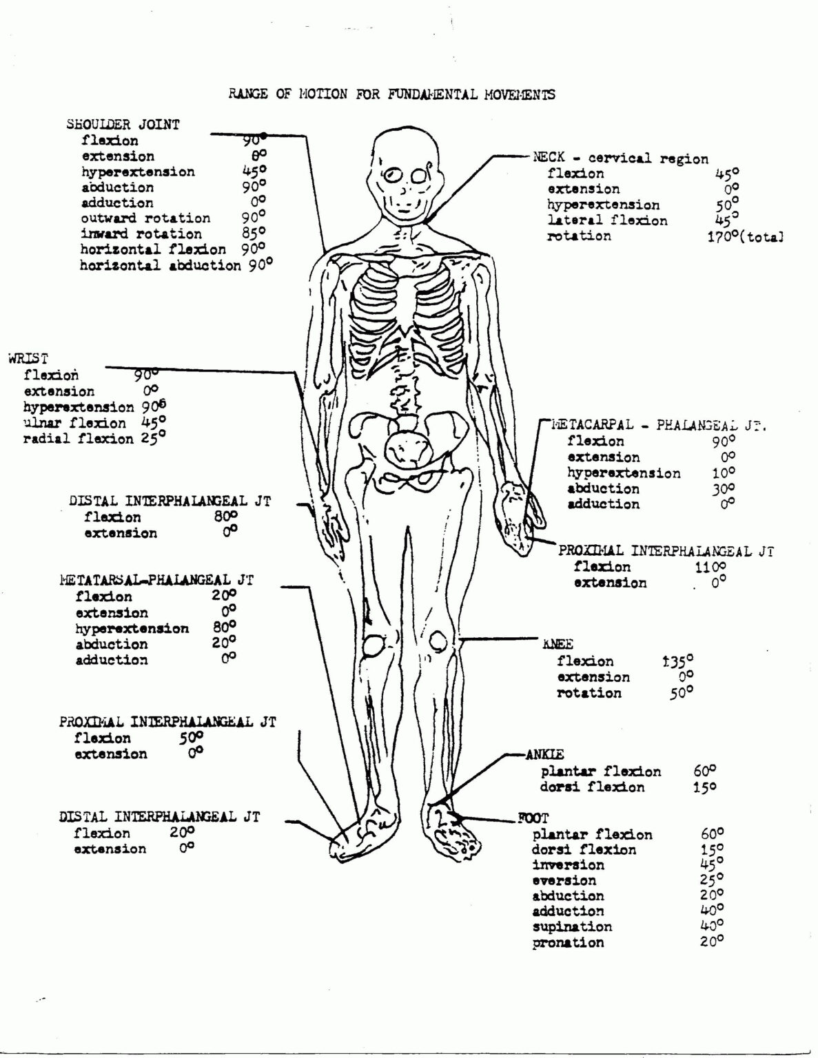 5 Essential Worksheets For Anatomy And Physiology Mastery - Web Worksheets