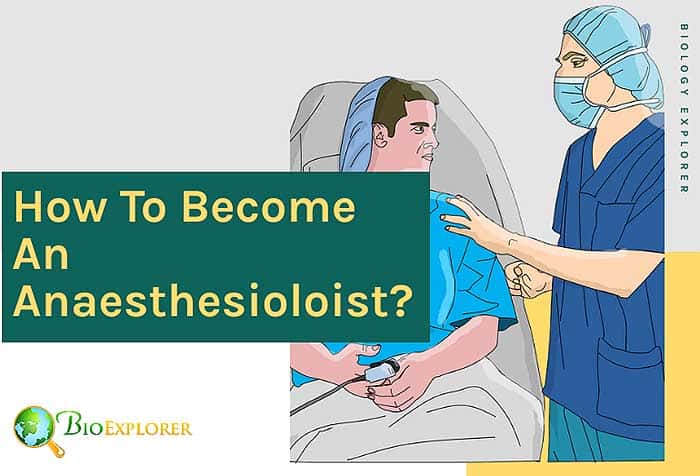 Anesthesiologist Salary How To Become An Anesthesiologist Medical Jobs Anesthesiologist