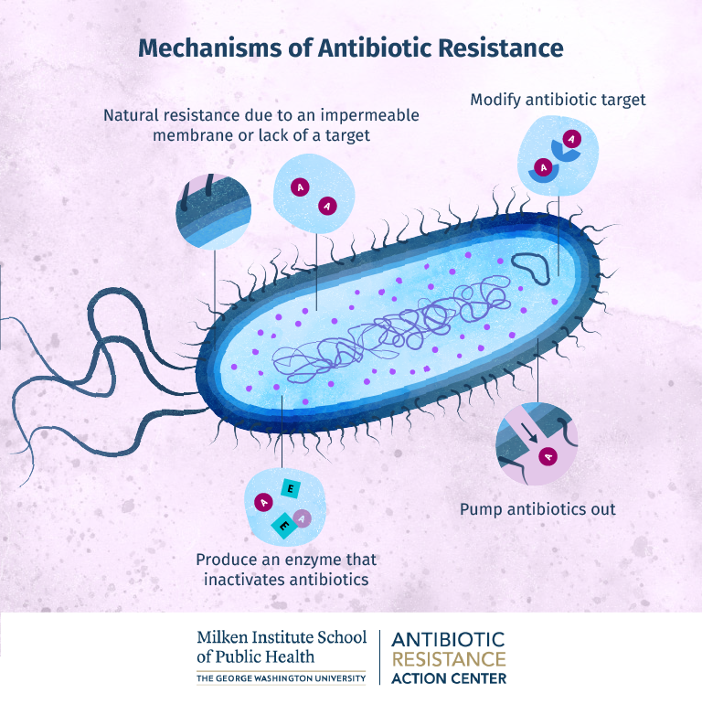 Antibiotic Resistance Public Help Fight Superbugs Fight Superbugs