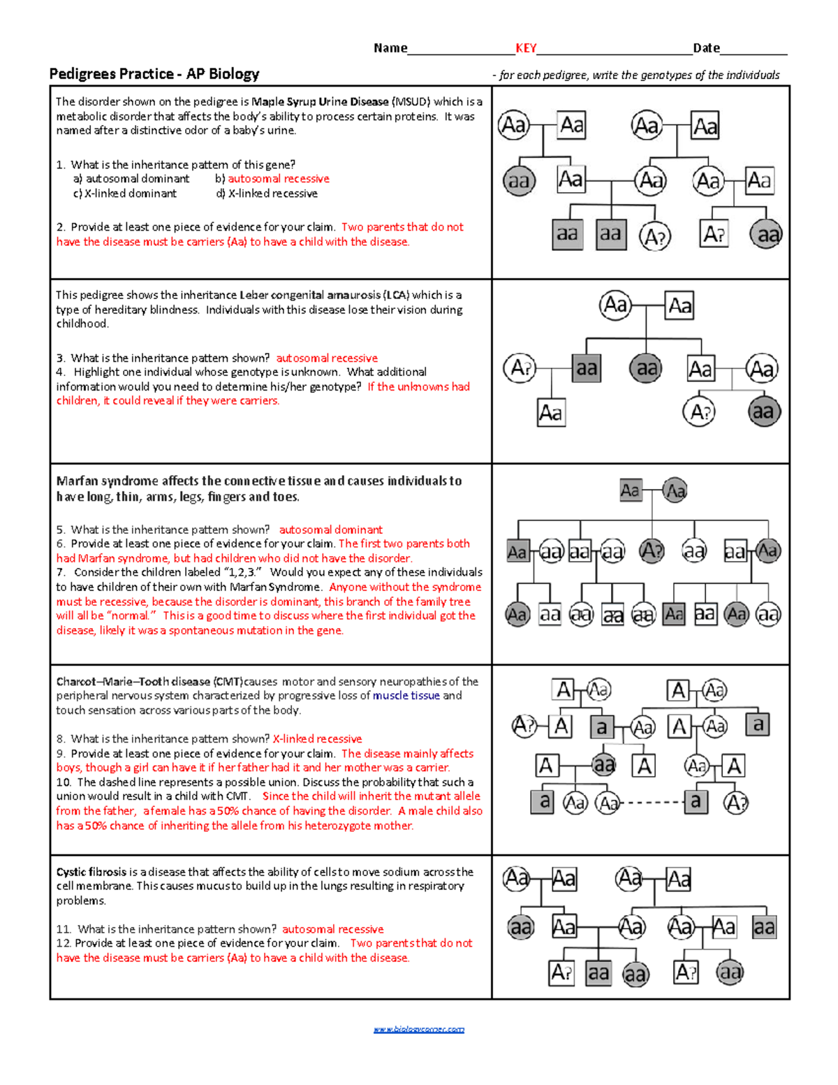 Ap Biology Pedigree Problem Set1 Genetic Disorder Earth Amp Life Sciences