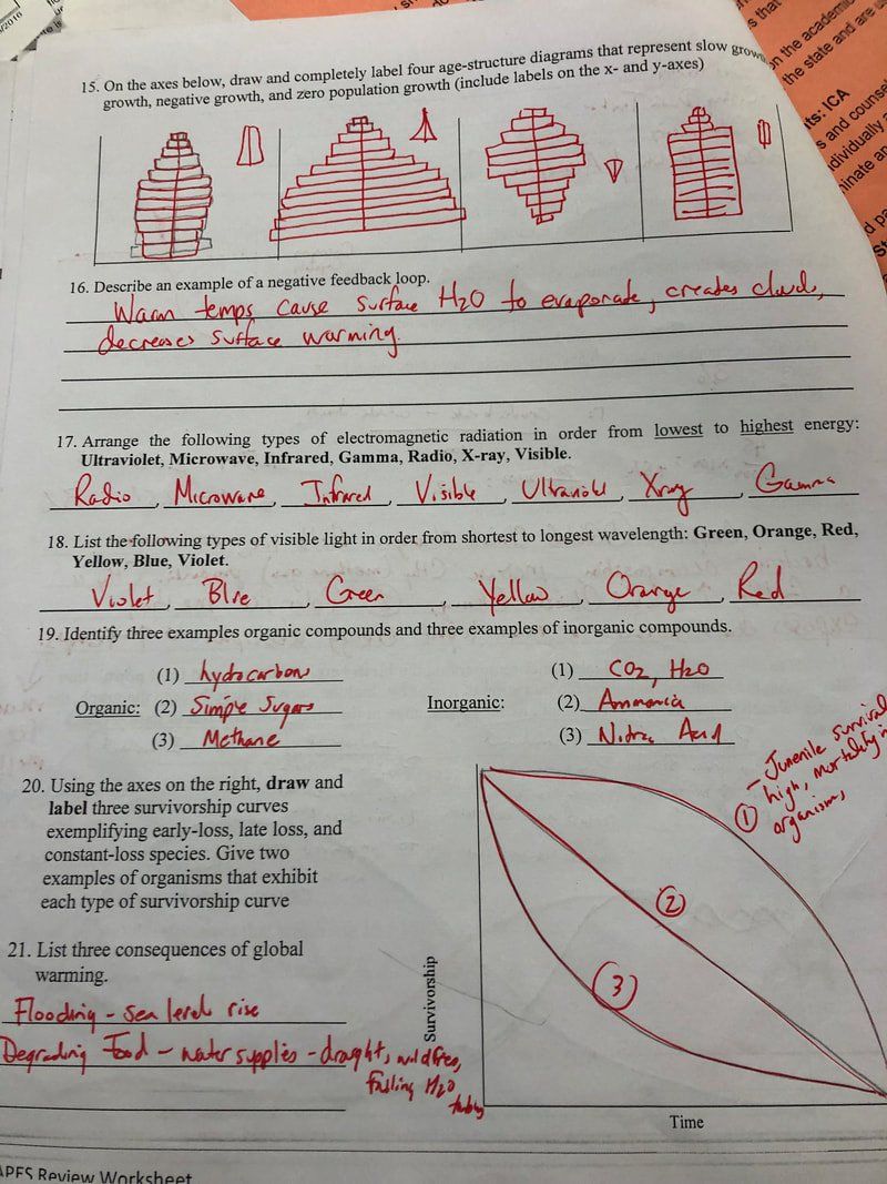 Apes Review Worksheet 4 Hong Apes Review Worksheet Perform The