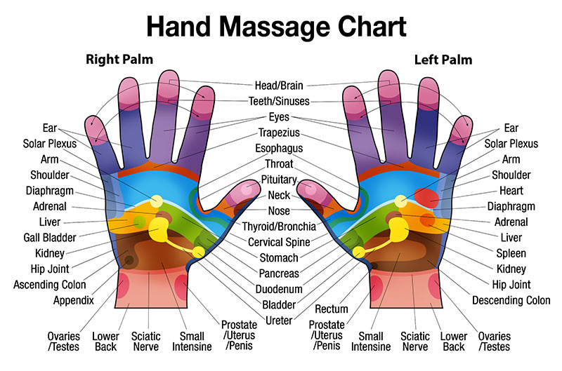 Arm And Hand Massage Techniques Massage Therapist Amp 39 S Thumb Youtube