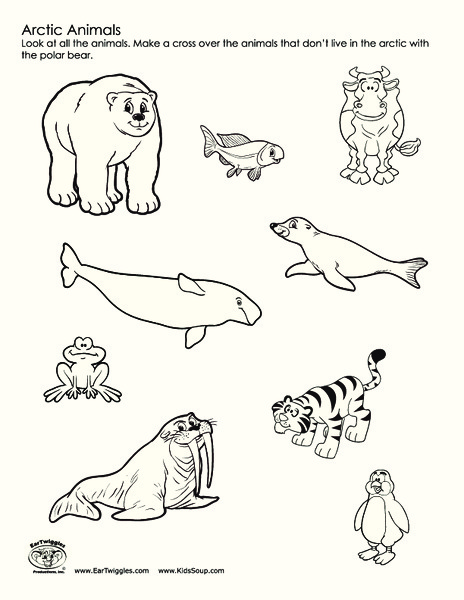 Arctic Animals Worksheets for Kids - Fun Learning Activities