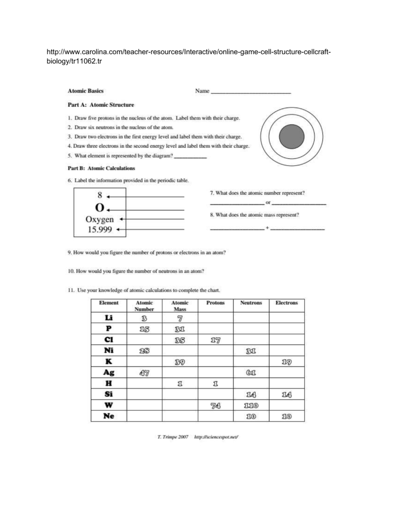 7 Key Insights from Atomic Basics Worksheet Answers