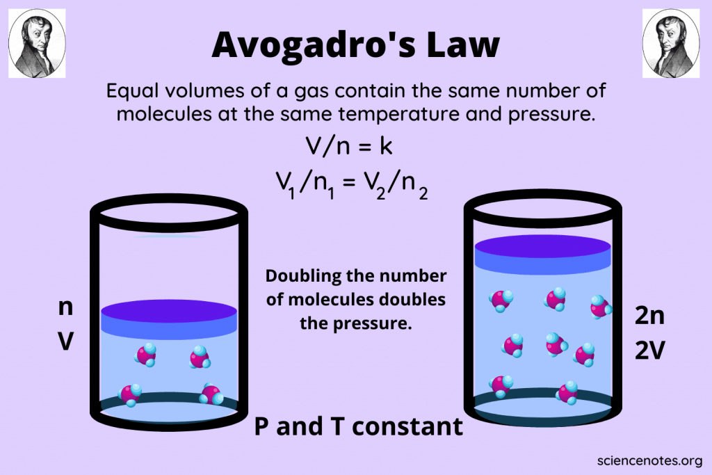 Avogadro S Law Worksheets Print Digital Gas Law Distance Learning