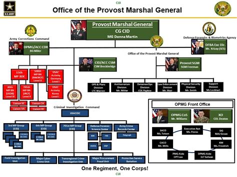 Basic Army Organizational Chart