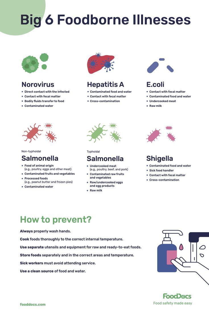 Big 6 Foodborne Illnesses Download Free Poster