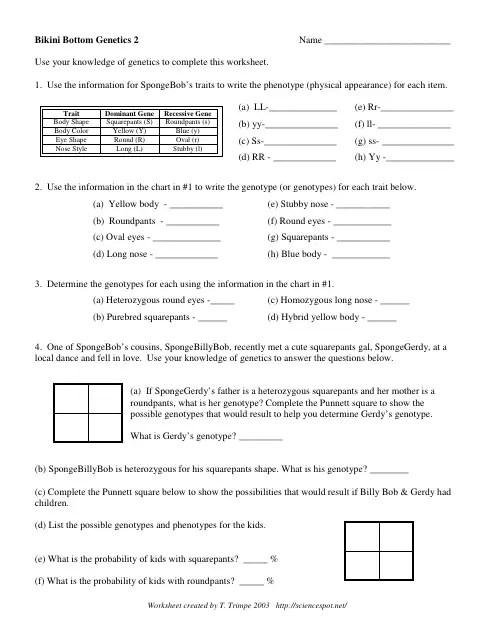 Bikini Bottom Genetics 2 Worksheet With Answers T Trimpe Download