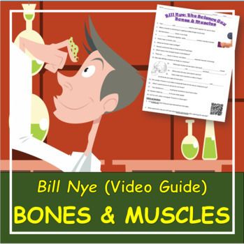 Bill Nye Bones And Muscles Video Questions By Nicole Hays Tpt