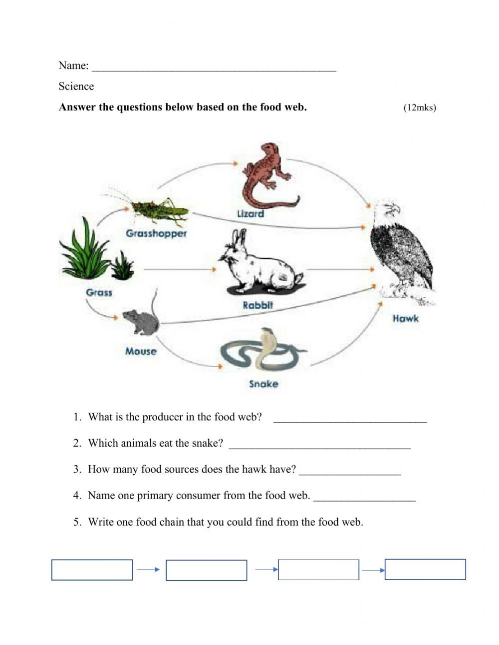 Bill Nye Food Web Worksheet Printable Computer Tools