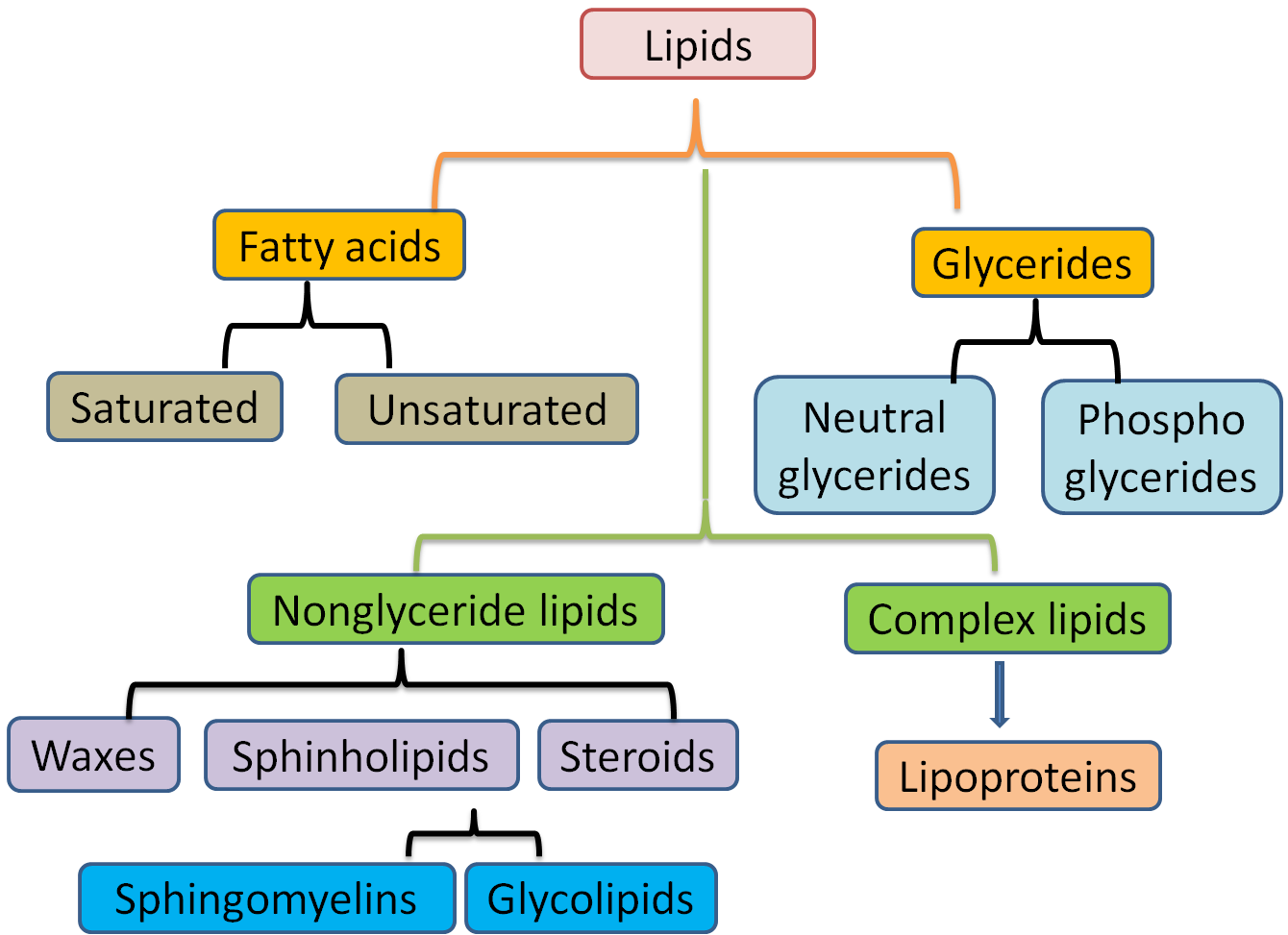 Biochemistry Notes Classification Of Lipids Differences Between