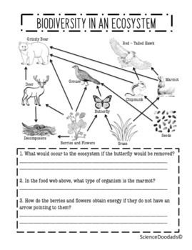 Biodiversity Worksheet For Kids