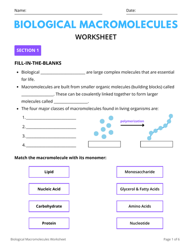 Biological Macromolecules Worksheet