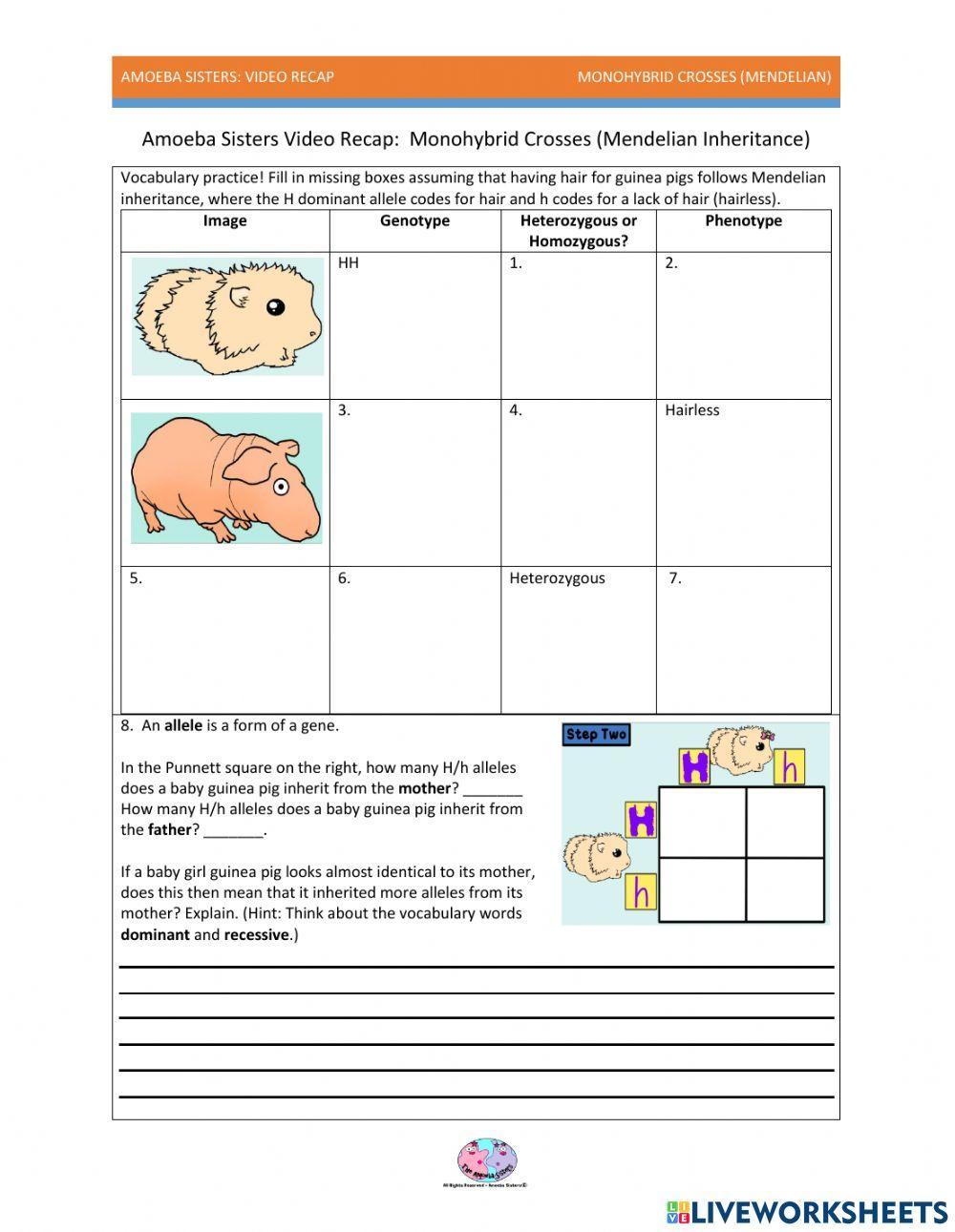 Biology Amoeba Sisters Worksheet 3 5 20 Homework Imgur Worksheets Library