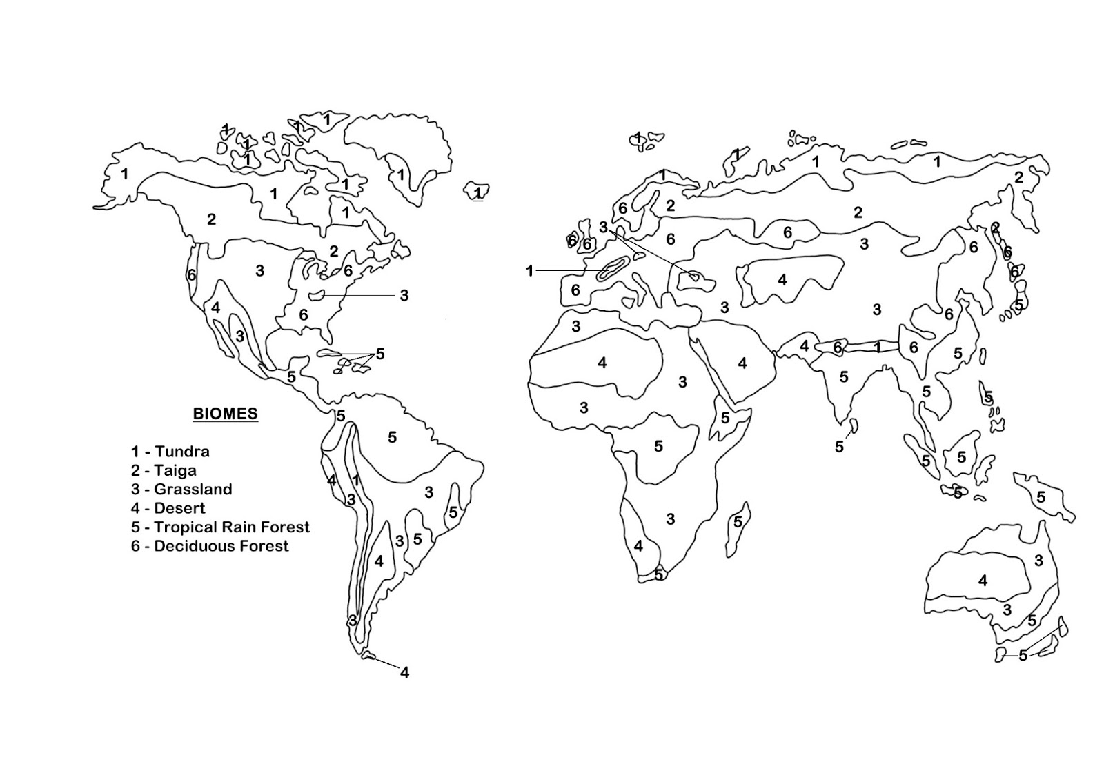 Biome Map Coloring Worksheet Pdf