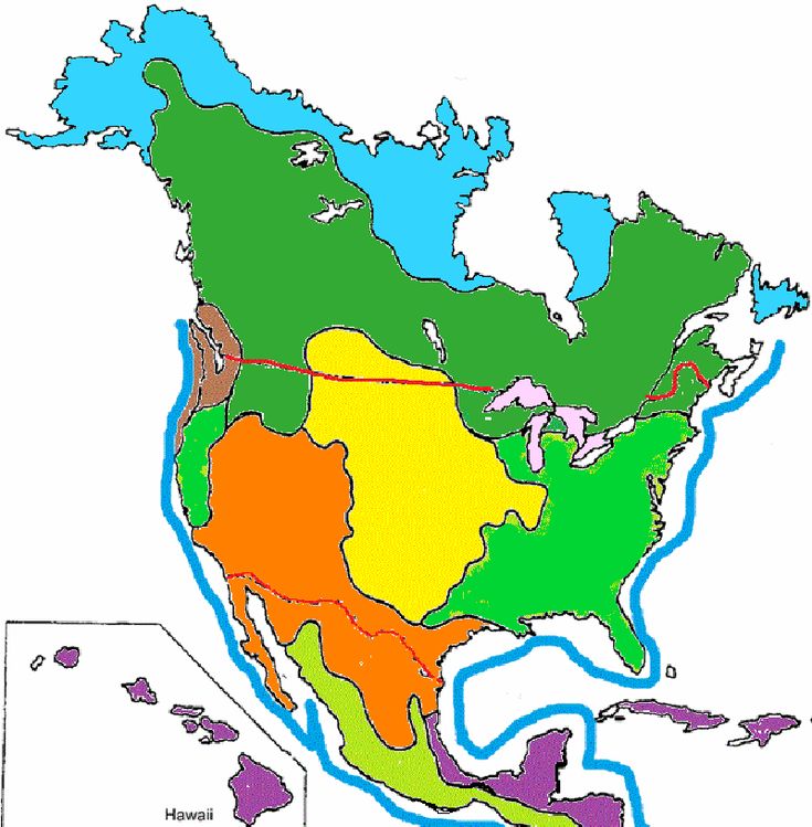 Biomes Of North America Worksheet Worksheets For Kindergarten