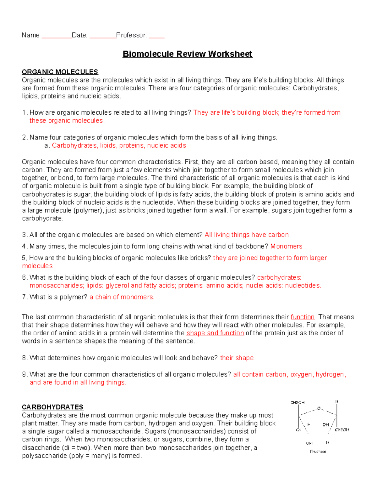 Biomolecules Worksheet Answer Key