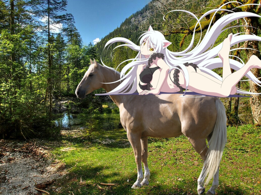 Black Hanekawa On Her Beautiful Palomino Horse Sexy Anime Girls Fan Art 39111143 Fanpop