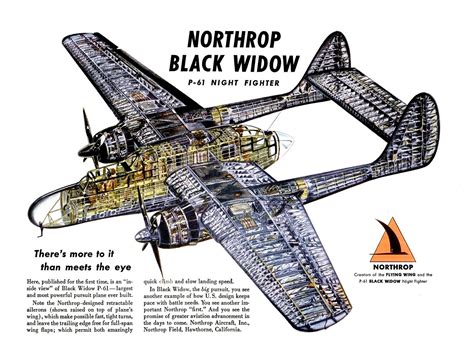 Black Widow: The Deadly Nighttime Fighter Plane of WWII