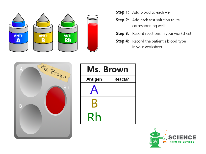 Blood Typing Practice Worksheet Answers Sustainablened