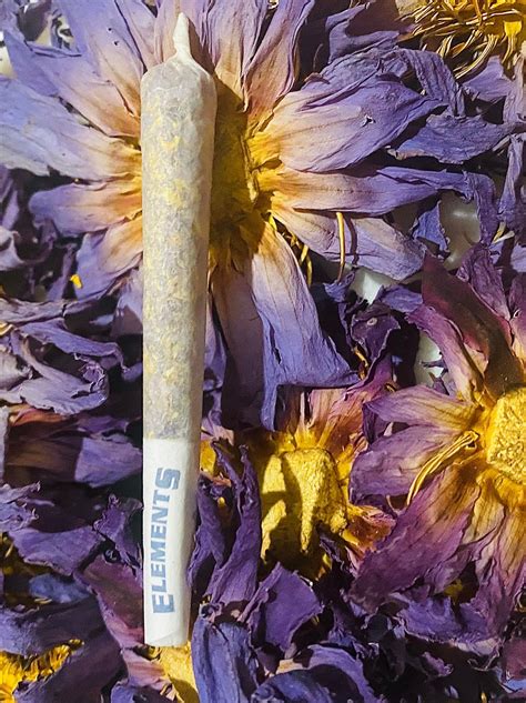 Blue Lotus Flower Smoking Effects