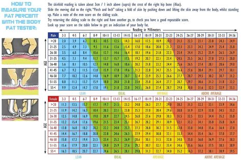 Body Fat Chart