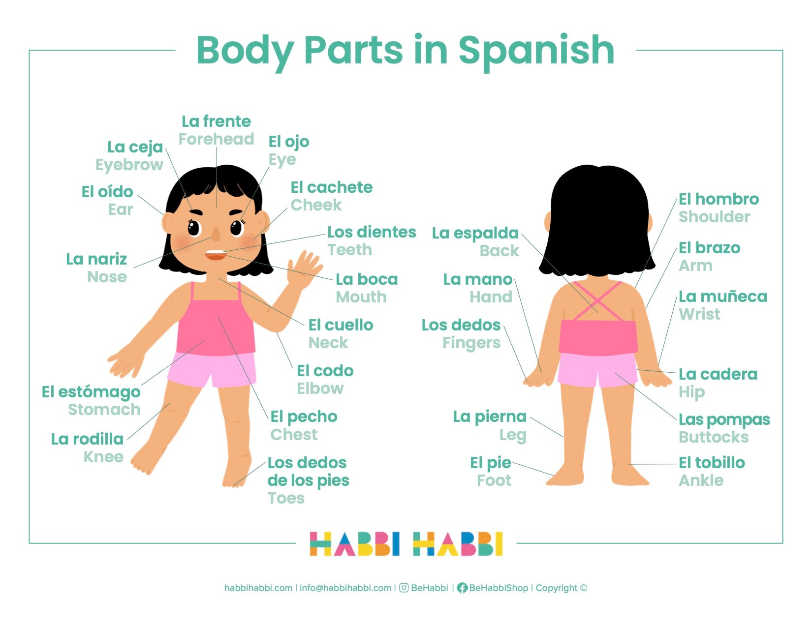 Body Ks1 Spanish Parts Of The Body Twinkl