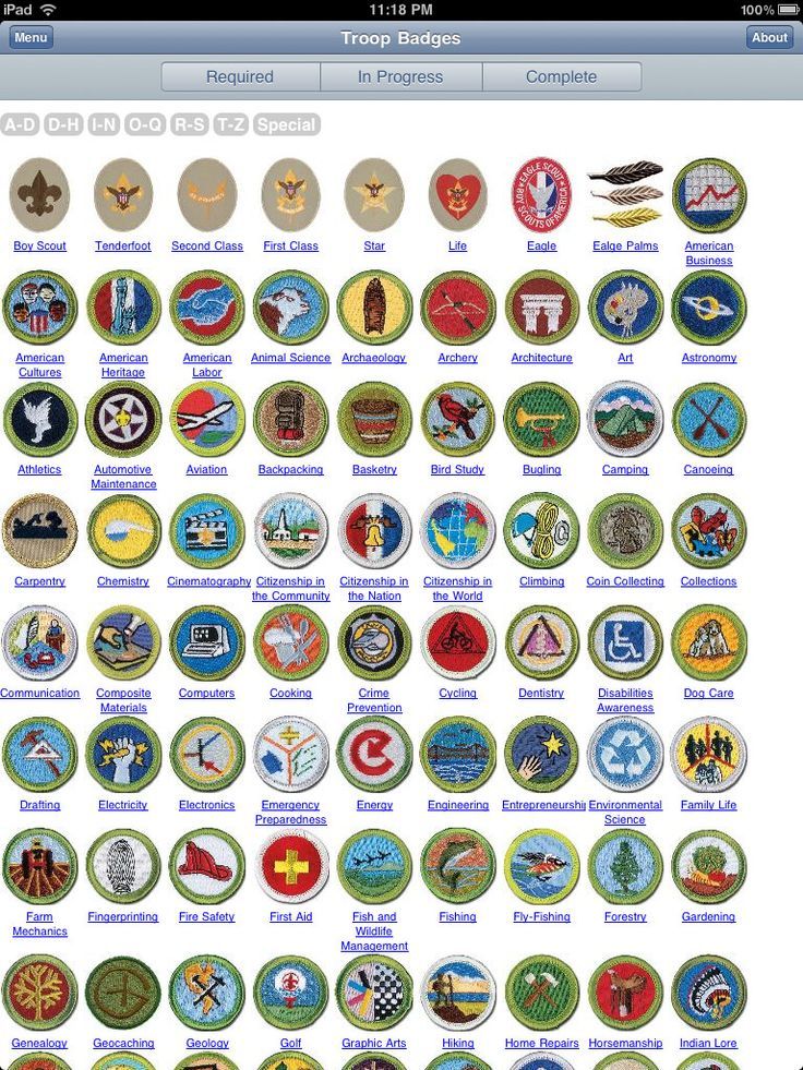 Boy Scout Merit Badges Worksheet