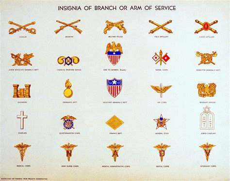 5 Main Branches of the US Army