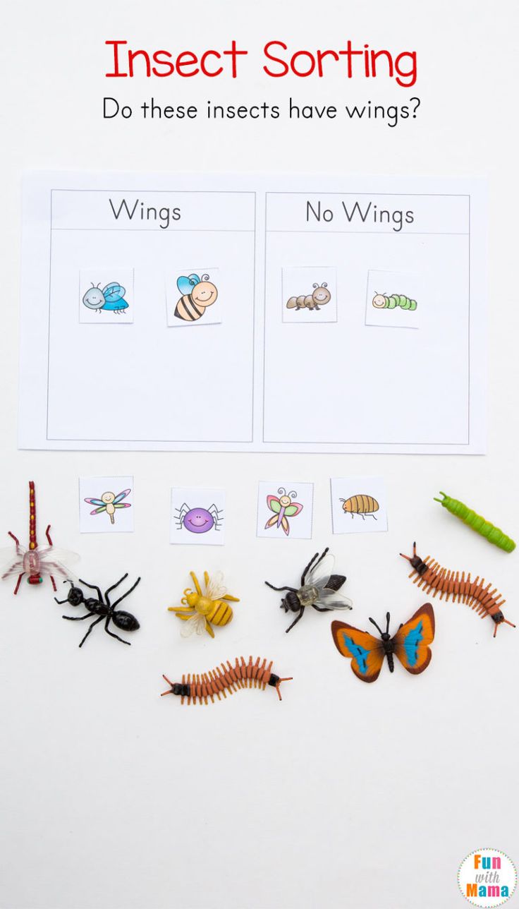 Bugs Preschool Insects Preschool Preschool Worksheets