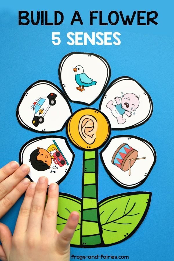 Build A Flower 5 Senses Match Frogs And Fairies Senses Preschool