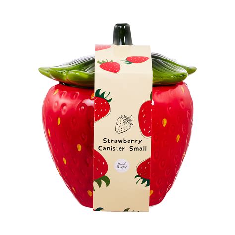 Buy This Adorable Strawberry Container At The Reject Shop Tiktok