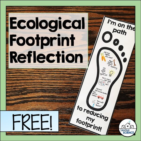 Calculate Your Ecological Footprint Lesson For Students Suburban