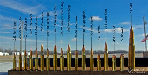 Calibres De Fusil Gu A Definitiva Tiradores De Precisi N Gc