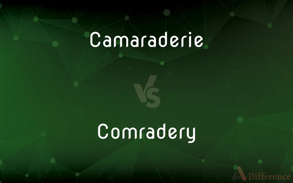 Camaraderie Vs Comradery What S The Difference