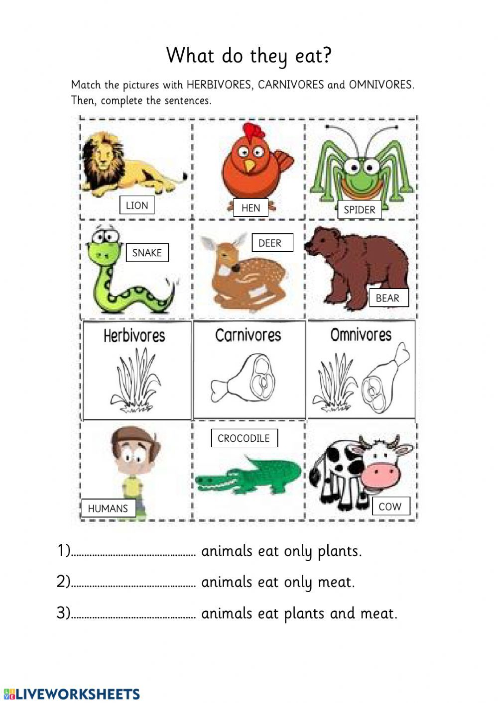 Carnivore Herbivore Or Omnivore Worksheet Answers Studyladder