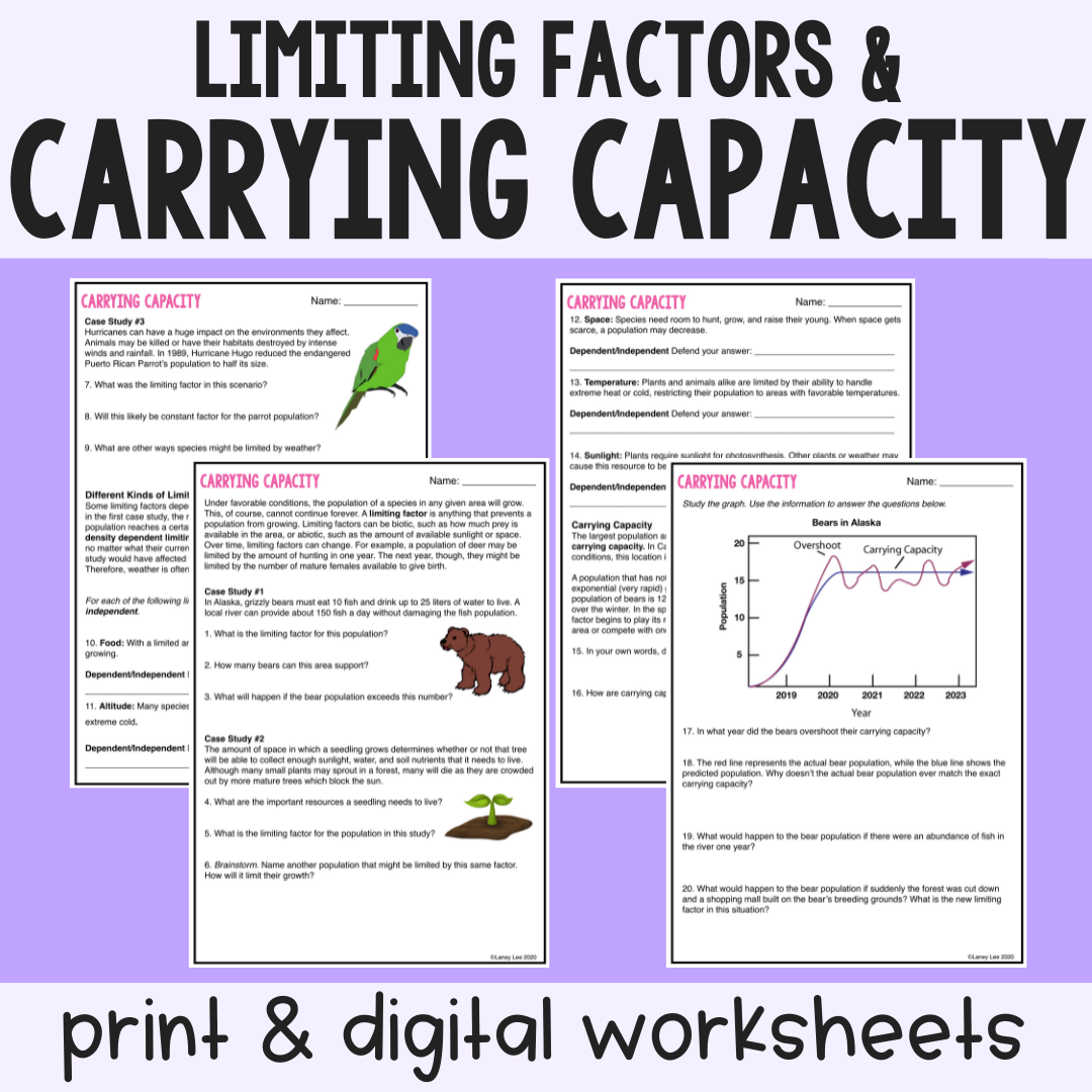 Carrying Capacity Limiting Factor Print Digital Worksheet