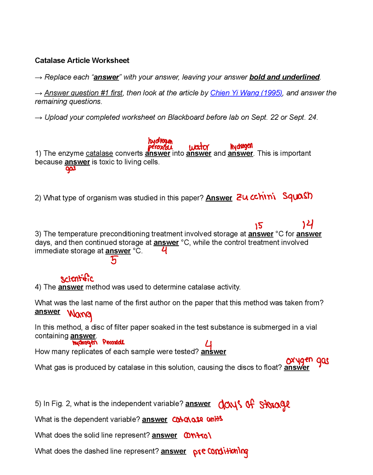 Catalase Article Worksheet Answer Question 1 First Then Look At