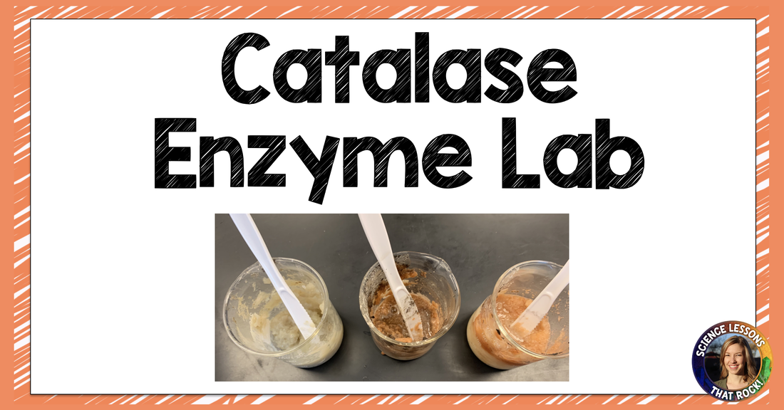 Catalase Enzyme Activity Lab By Science By Ms Robb Tpt