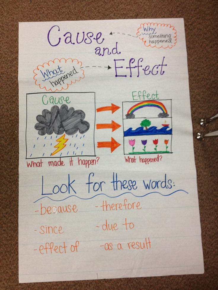 Cause And Effect 2Nd Grade